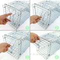 Animal grand receveur de cage